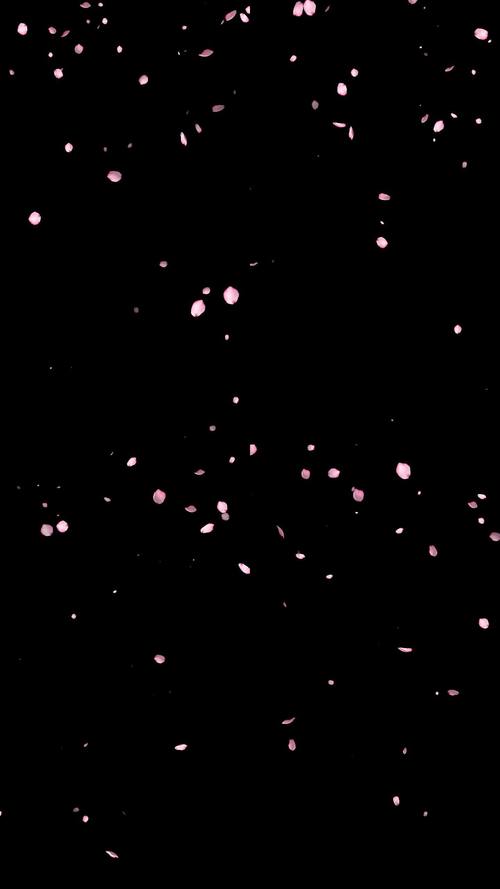 六花瓣视频直播手机版V1.5.3_六花瓣视频直播最新版下载
