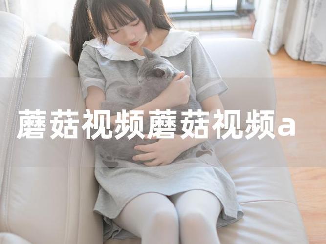 蘑菇视频app无限次数版人气恢复了，网友：必须支持！