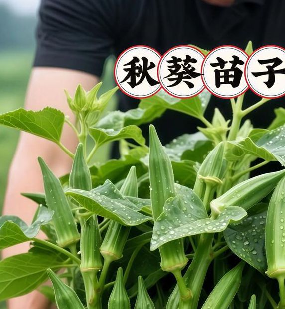 下载汅api免费秋葵ios无限看最新版V6.7.1_下载汅api免费秋葵ios无限看应用下载 下载汅api免费秋葵ios无限看最新版V6.7.1_下载汅api免费秋葵ios无限看应用下载