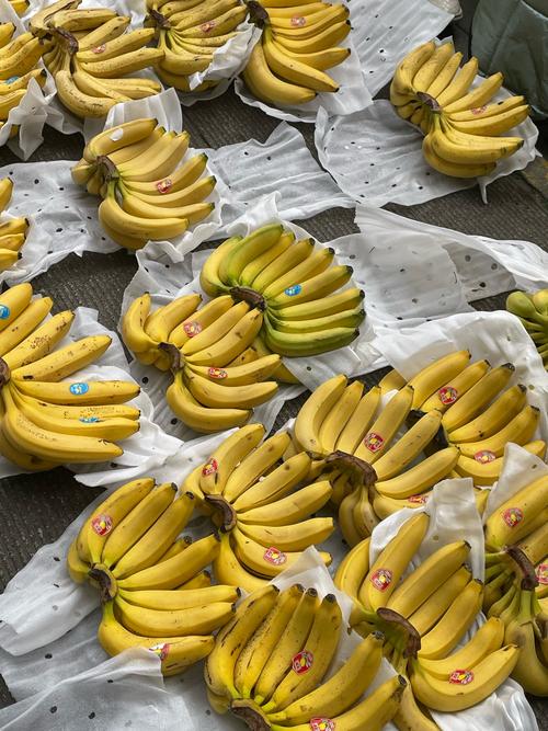 香蕉免费一区资源出现真人榜内容，平台：这是彩蛋！