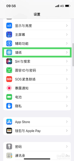 如何移除iPhone 17的壁纸-详细删除指南
