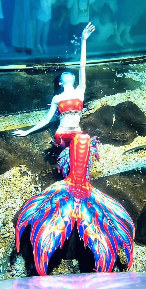 美人鱼国产视频进行了优化处理,网友直呼:好用 美人鱼国产视频进行了优化处理,网友直呼:好用