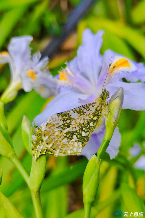 花蝴蝶 蝶恋花直播下载手机版V3.9.3_花蝴蝶 蝶恋花直播下载APP下载 花蝴蝶 蝶恋花直播下载手机版V3.9.3_花蝴蝶 蝶恋花直播下载APP下载