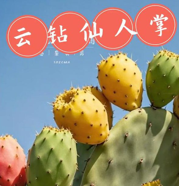 三x短视频仙人掌视频手机版V3.7.5_三x短视频仙人掌视频最新版下载 三x短视频仙人掌视频手机版V3.7.5_三x短视频仙人掌视频最新版下载