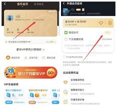 如何在酷狗音乐中停止自动续费——详细步骤指南 如何在酷狗音乐中停止自动续费——详细步骤指南