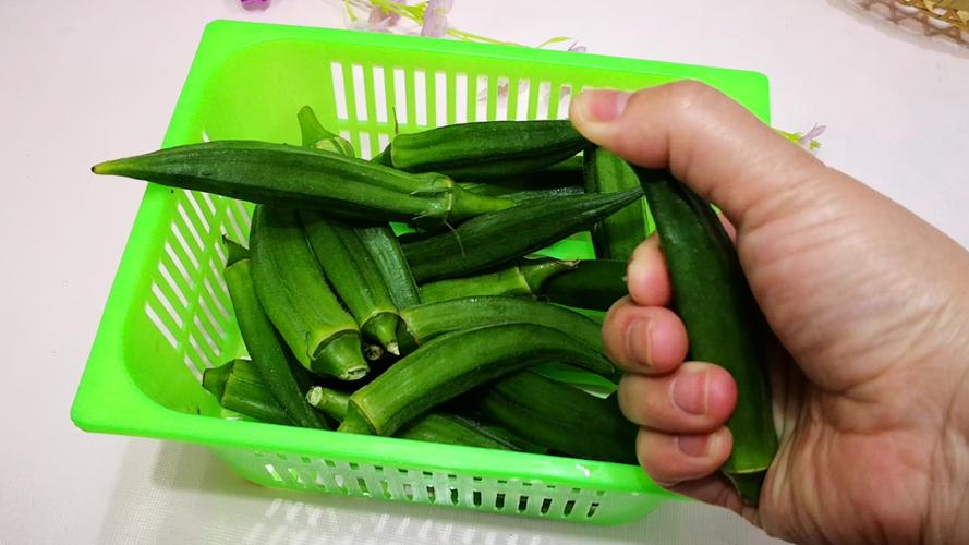 色多多草莓樱桃丝瓜绿巨人秋葵手机版V2.9.3_色多多草莓樱桃丝瓜绿巨人秋葵软件下载