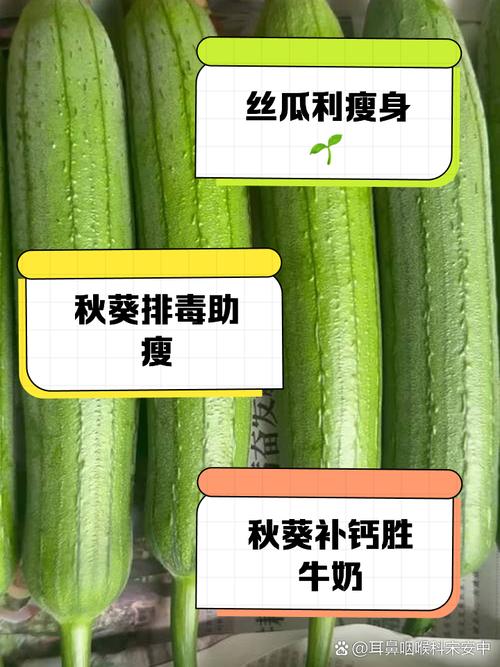 秋葵 茄子 丝瓜 绿巨人污ios版免费,很多伙伴都喜爱的视频播放软件 秋葵 茄子 丝瓜 绿巨人污ios版免费,很多伙伴都喜爱的视频播放软件