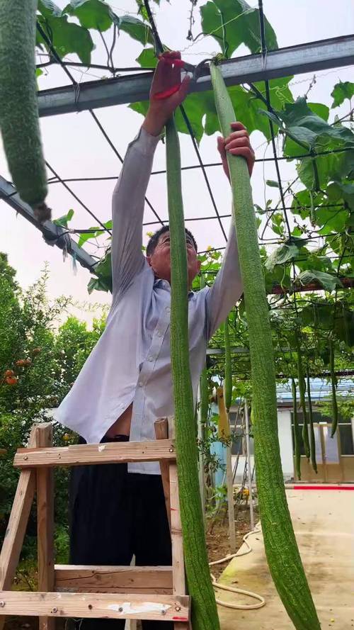 丝瓜ios视频丝瓜视频下载手机版V5.2.3_丝瓜ios视频丝瓜视频下载最新版下载