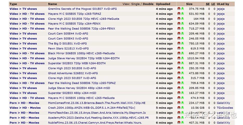 real529中文字幕磁力链,全球玩家陪你玩游戏看直播软件