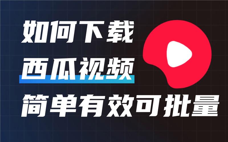 西瓜视频安卓版v4.33最新版V6.1.6_西瓜视频安卓版v4.33软件下载