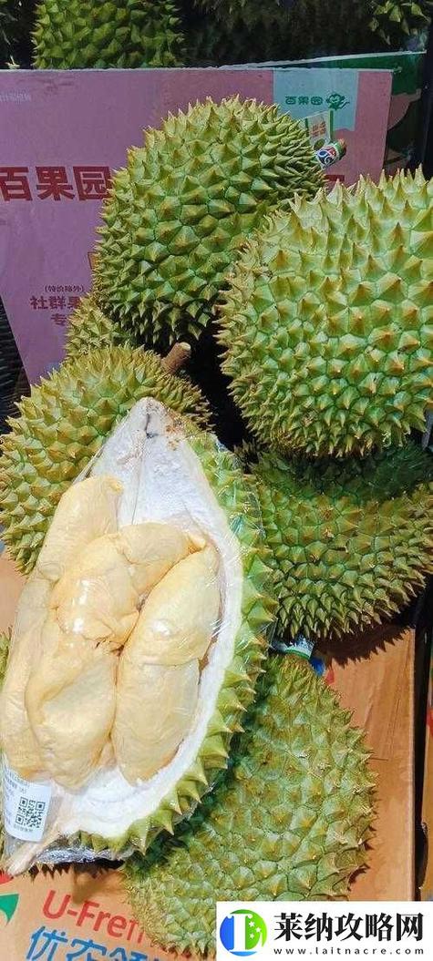 ll999榴莲让你流连忘返手机版V4.2.4_ll999榴莲让你流连忘返应用下载 ll999榴莲让你流连忘返手机版V4.2.4_ll999榴莲让你流连忘返应用下载