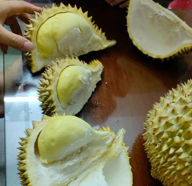 ll999榴莲让你流连忘返手机版V4.2.4_ll999榴莲让你流连忘返应用下载 ll999榴莲让你流连忘返手机版V4.2.4_ll999榴莲让你流连忘返应用下载