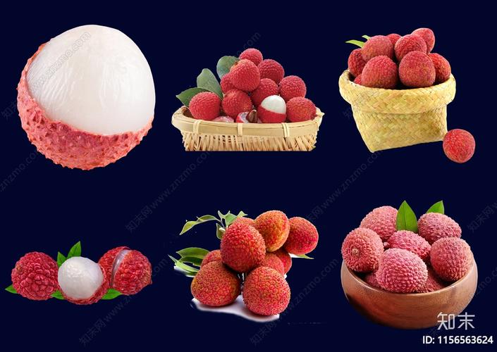 荔枝最新版V5.7.3_荔枝应用下载