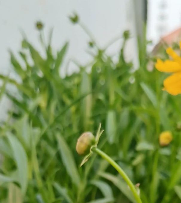 野花视频手机在线观看免费完整版中文最新版V5.3.6_野花视频手机在线观看免费完整版中文应用 野花视频手机在线观看免费完整版中文最新版V5.3.6_野花视频手机在线观看免费完整版中文应用