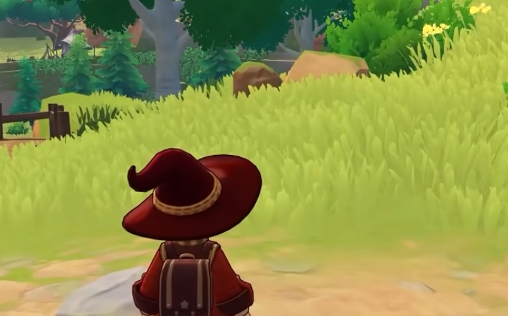 《洛克王国:世界》中的伞伞菌详细介绍 《洛克王国:世界》中的伞伞菌详细介绍