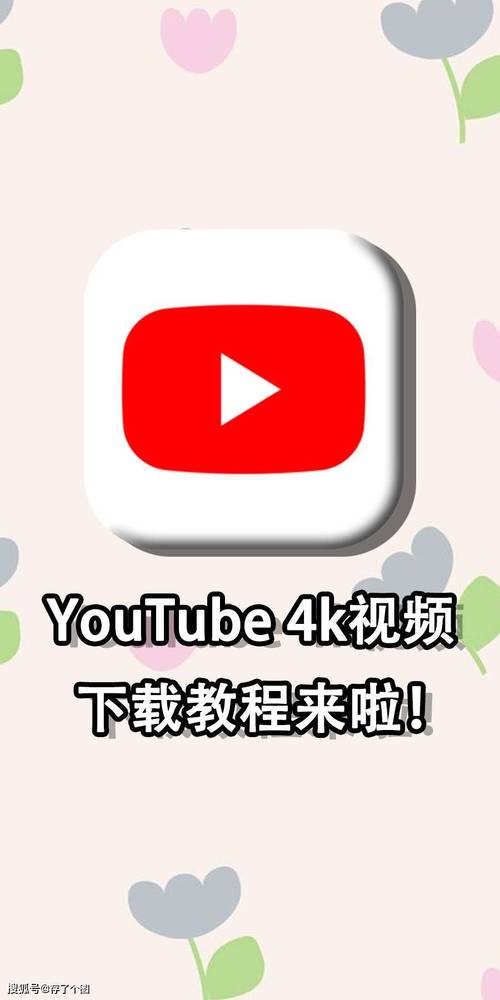 油条视频1.0.3安卓版应用V2.6.2_油条视频1.0.3安卓版APP下载