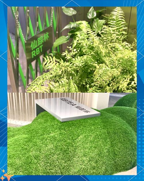 仙踪林网站入口欢迎您手机版V9.3.5_仙踪林网站入口欢迎您应用 仙踪林网站入口欢迎您手机版V9.3.5_仙踪林网站入口欢迎您应用