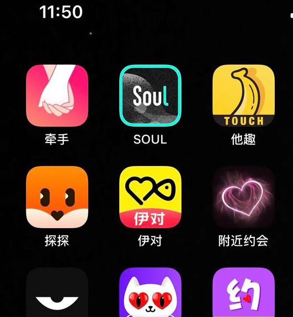 大秀app ios,备受欢迎的视频直播软件