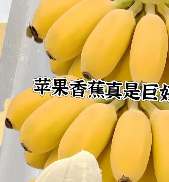 草莓苹果香蕉荔枝丝瓜手机版V1.2.8_草莓苹果香蕉荔枝丝瓜应用下载