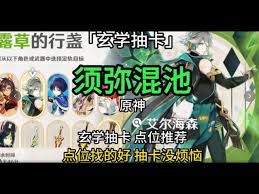 原神须弥混池中哪个角色最值得抽取？——关于原神须弥混池角色选择的指南
