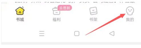 点点穿书应用中如何调整阅读偏好设置