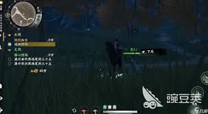 在《下一站江湖2》中全方位收集宝库钥匙的详细指南 - 完整攻略解析