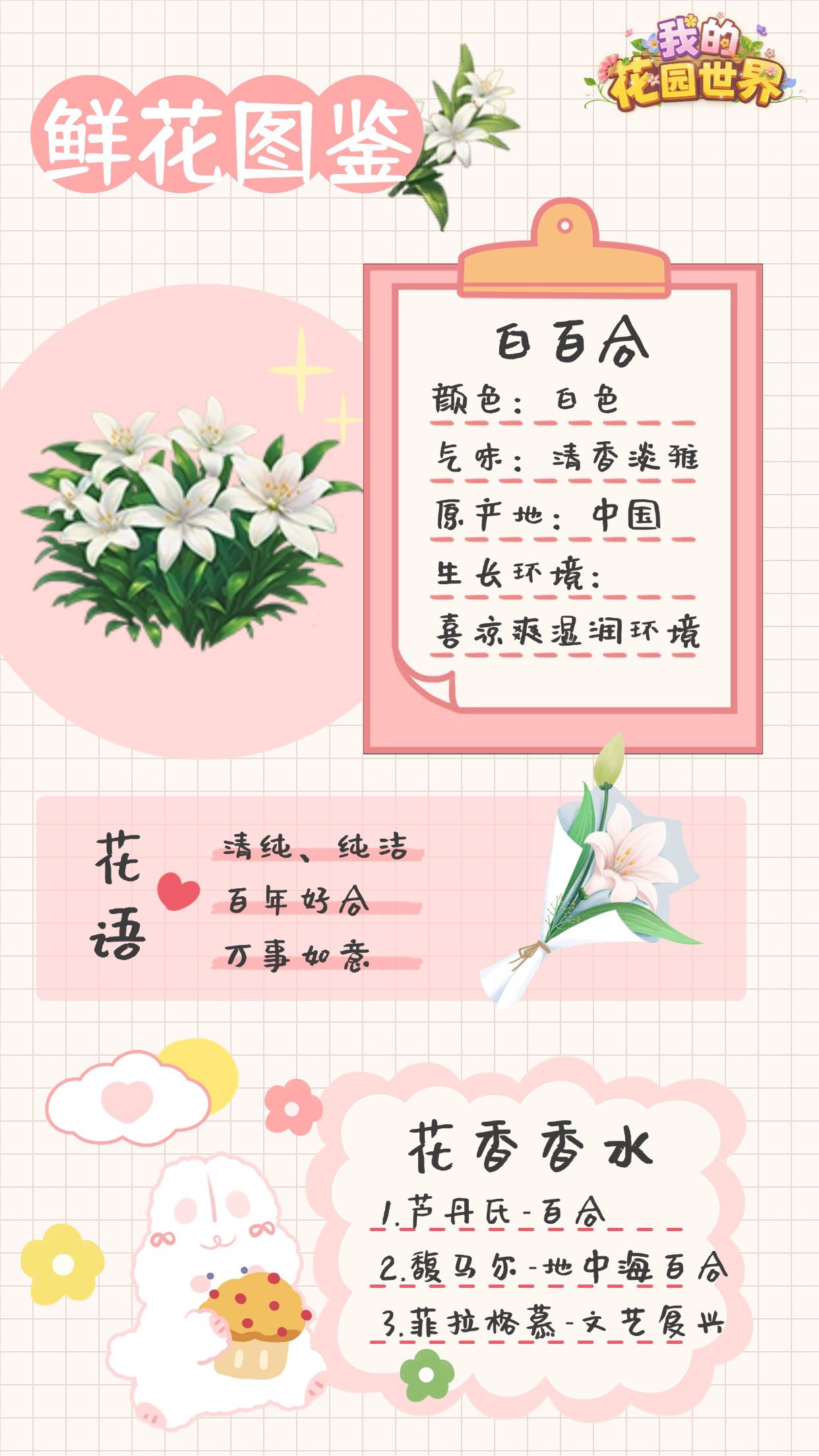 关于我的花园世界中的白百合，图鉴详细介绍
