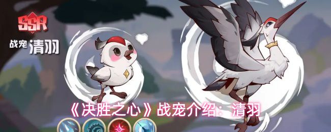 《决胜之心》中战宠清羽的详细介绍:
《决胜之心》中战宠清羽的详细介绍: