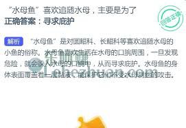 水母鱼为何偏爱紧随水母——追随水母的主要原因解析