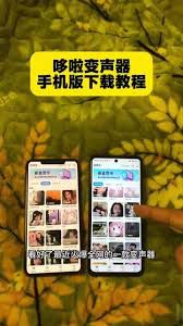 多啦变声器的输入邀请码操作指南——多啦变声器如何正确填写邀请码的方法