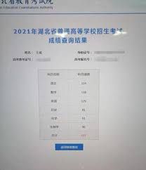 如何查阅历史高考成绩-往年高考成绩检索途径详解