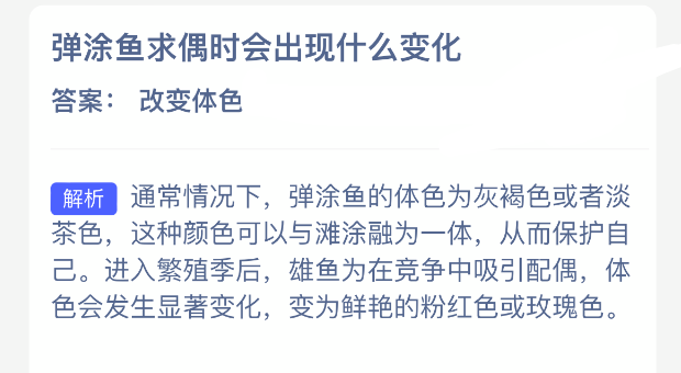 弹涂鱼在求偶过程中会表现出哪些明显变化？
