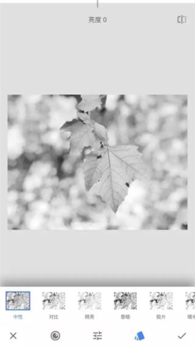 《绿叶修图》中的蒙版工具详尽指南 《绿叶修图》中的蒙版工具详尽指南