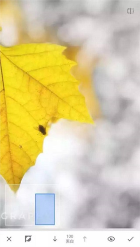 《绿叶修图》中的蒙版工具详尽指南 《绿叶修图》中的蒙版工具详尽指南