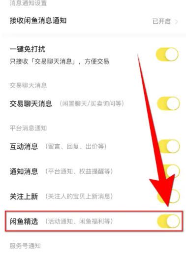 想知道如何在闲鱼平台上启用“精选”功能？- 这里为您详细介绍闲鱼开启“精选”的具体步骤  
