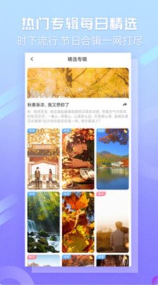 嘀嗒壁纸安卓版