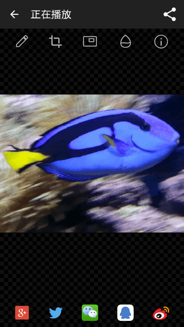 GIF工作室最新版