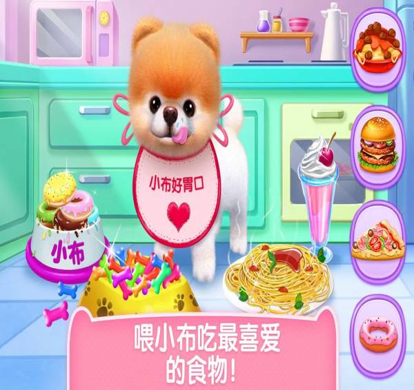 可可公主之宠物小布