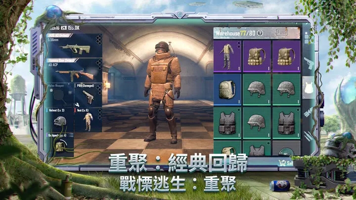 越南服pubg免费版