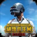 越南服pubg免费版