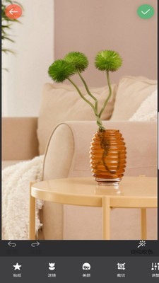 镜像相机手机版