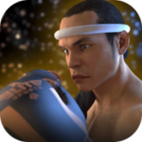 跆拳道对决泰拳官网版