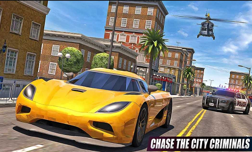 美国警车小偷追逐