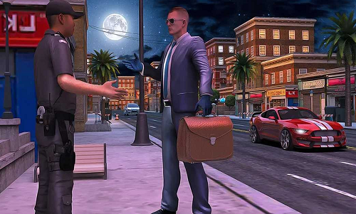 美国警车小偷追逐