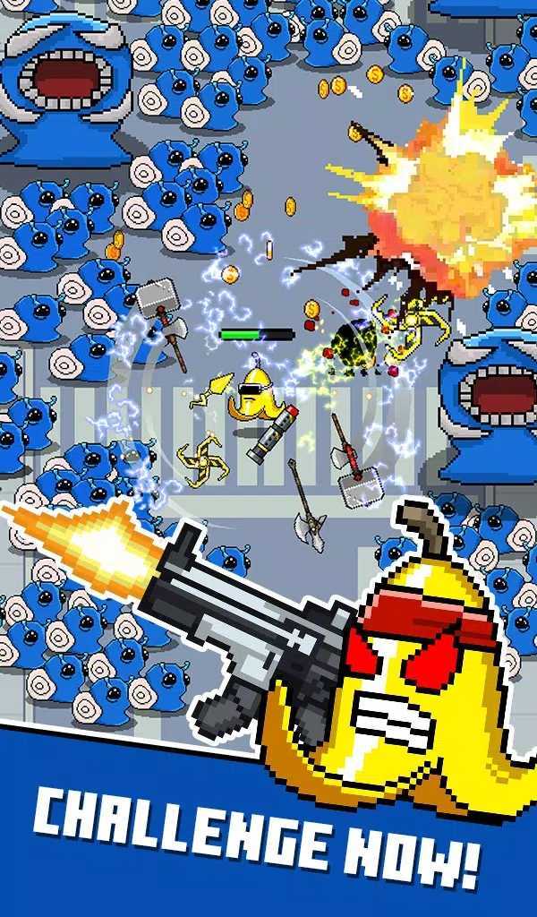 香蕉英雄: 水果幸存者