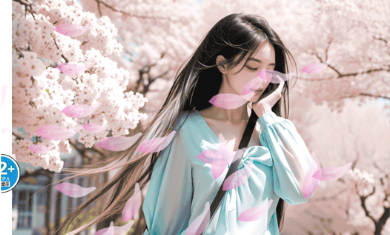 1701402154403323.png image.png