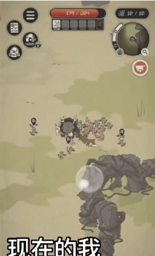 动物森林游戏中文版