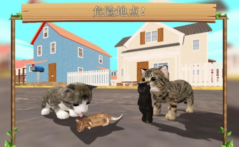 猫咪生存模拟器下载中文版