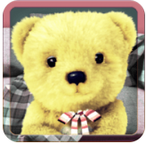 会说话的毛绒熊免费版