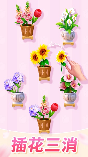 插花消除付费版